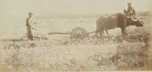 Çift süren Ermeniler, Van 1881